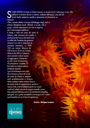 page19
