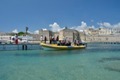 dsc_01.jpg