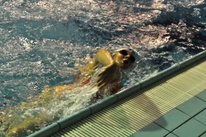 master trofeo Fanatik